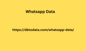 Whatsapp Data 